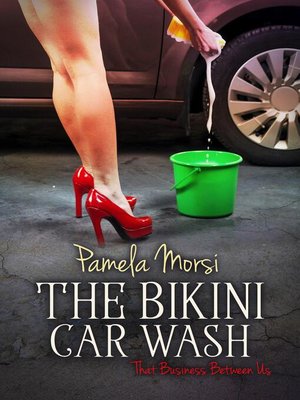Bikini Carwash - ebook